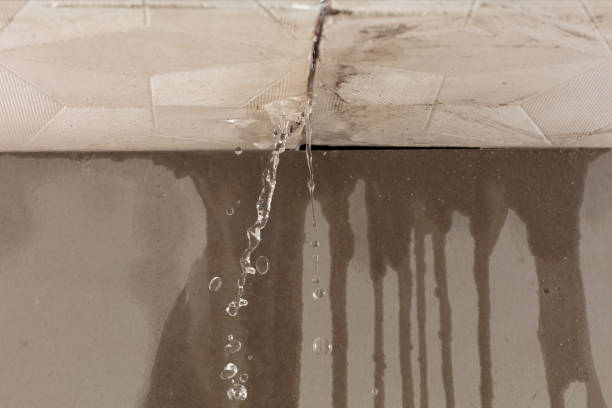 Professional Water Damage Restoration technician working in Dover, MN